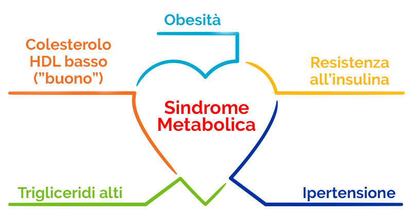 Questa immagine ha l'attributo alt vuoto; il nome del file è sindrome-metabolica-1.jpg